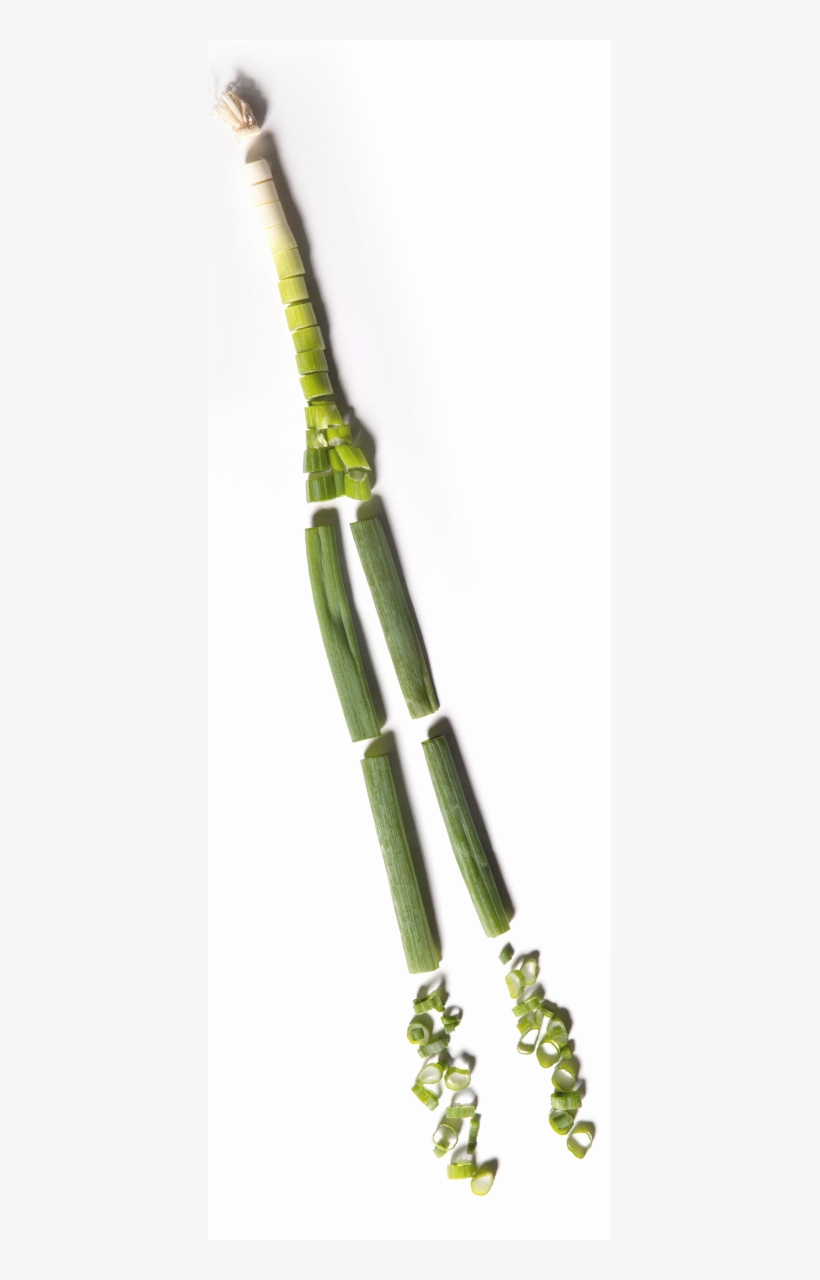 Green Onion Pictures - Bamboo, transparent png #5668538