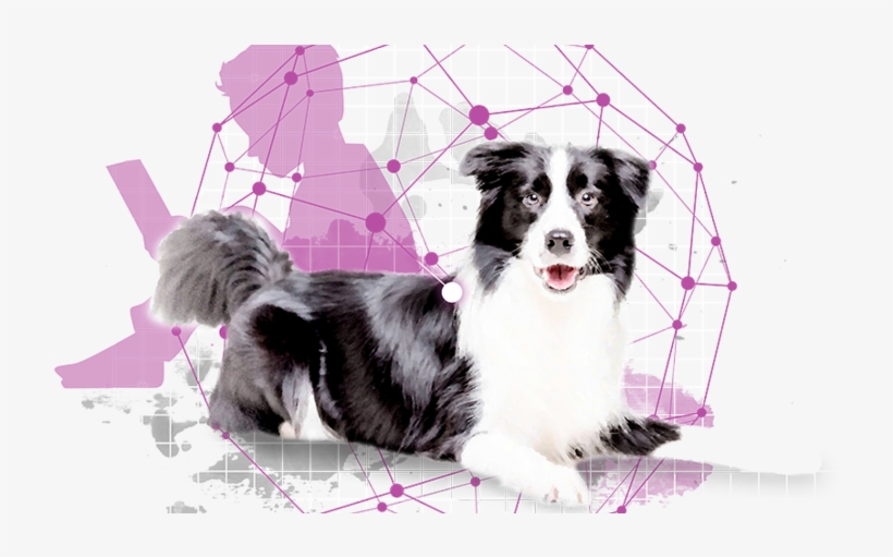 Snouts Towards Technology - University Of Helsinki, transparent png #5673196