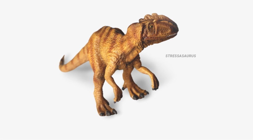 Everything Else Looks Prehistoric - Tyrannosaurus, transparent png #5673320