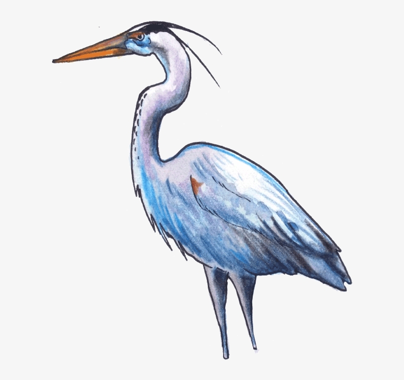 The Fish Eaters - Fish, transparent png #5674234