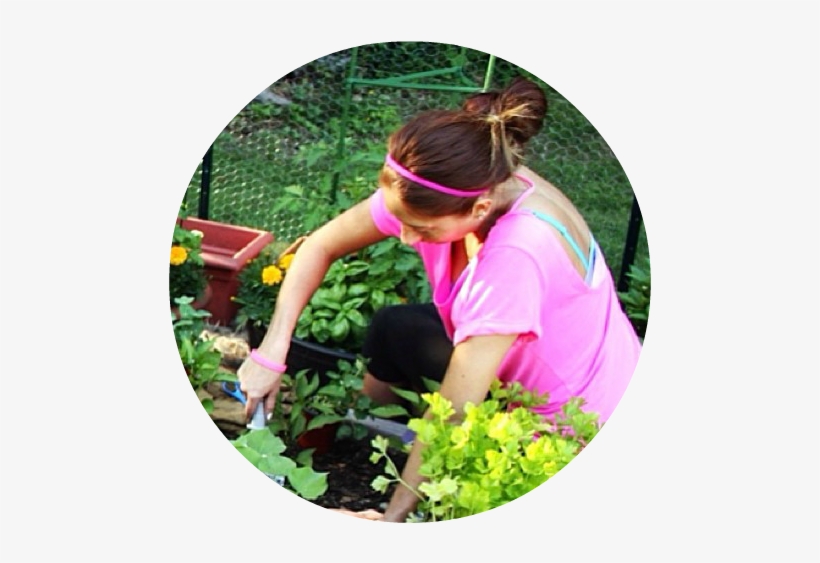 Angie Rose - Botanical Garden, transparent png #5674968