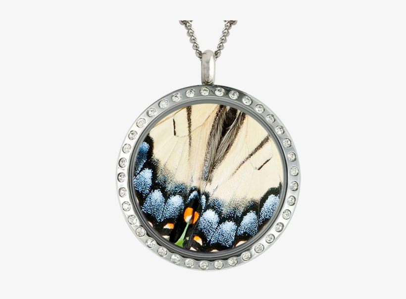 Butterfly Wing Blue & White In Locket, transparent png #5676607
