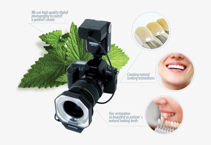 We Believe That Natural Light Is The Best Way To Take - Marumi Drf-14 S Ttl Macro Ring Flash For Sony, transparent png #5676758