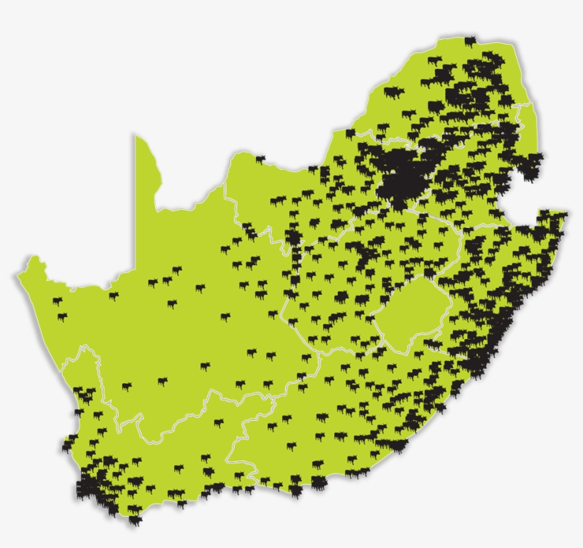 Keeping Money In The Community - Money, transparent png #5679401