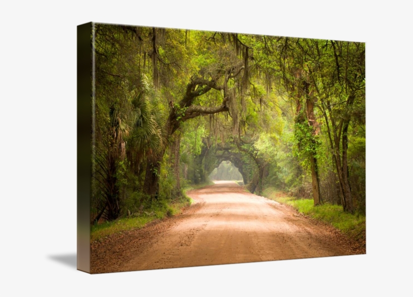 "charleston Sc Edisto Island Dirt Road" By Dave Allen - Rite Of Passage - Cd, transparent png #5680135