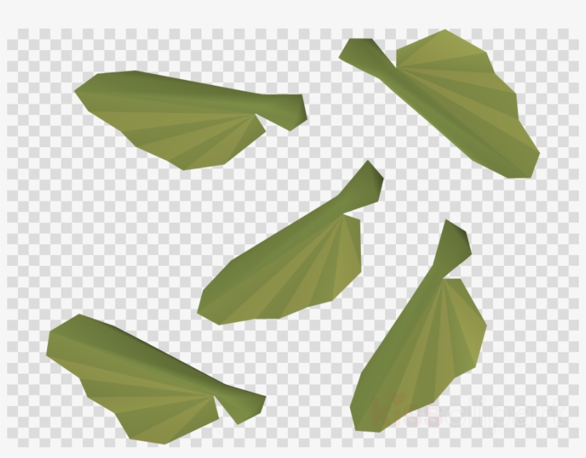 Banana Leaf Clipart Bigleaf Maple Old School Runescape - Maple, transparent png #5681032