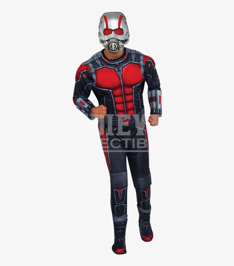 Antman And The Wasp Costumes Adult, transparent png #5685833