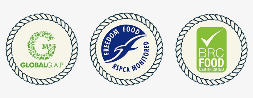 Logos Of Sulaire Salmon Certified Accreditation Awards - Circle, transparent png #5686862