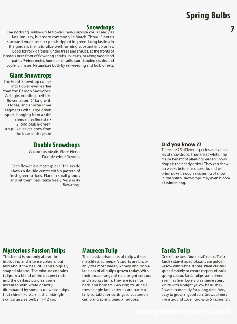 Page0007 2 - Document, transparent png #5687426
