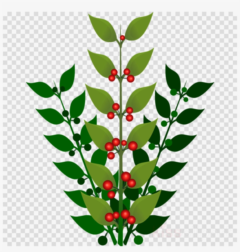 Clip Art Berry Bush Png Clipart Blueberry Berries Clip - Berries And Flowers Clipart, transparent png #5687884