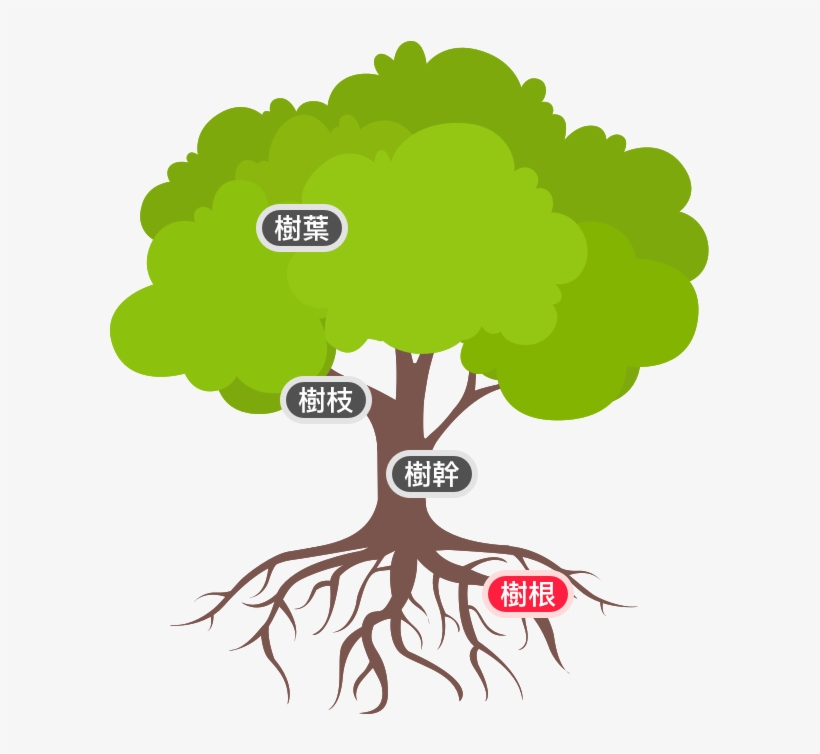 基本素養及未來競爭力的培養 - James Madison University Biology Logo, transparent png #5688651