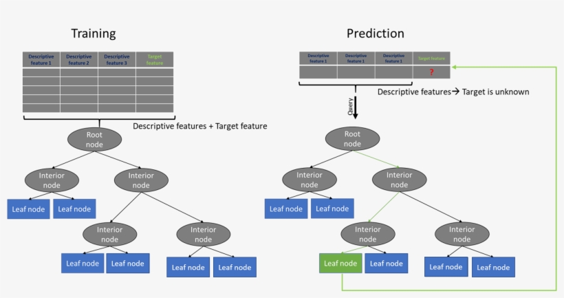 Decision Tree Training And Predicting Procedure - Diagram, transparent png #5688967