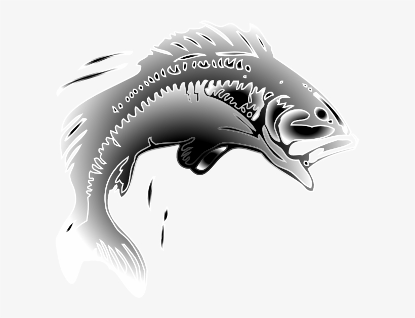 Jumping Fish Clip Art Transparent, transparent png #5689410
