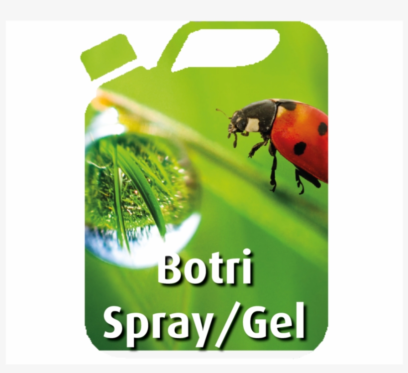 Botri Spray & Gel Can, transparent png #5689828