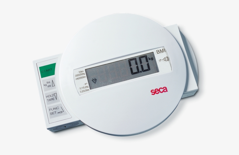 Seca - Seca 984 Digital Bed And Dialysis Scale W/ Equipment, transparent png #5691508