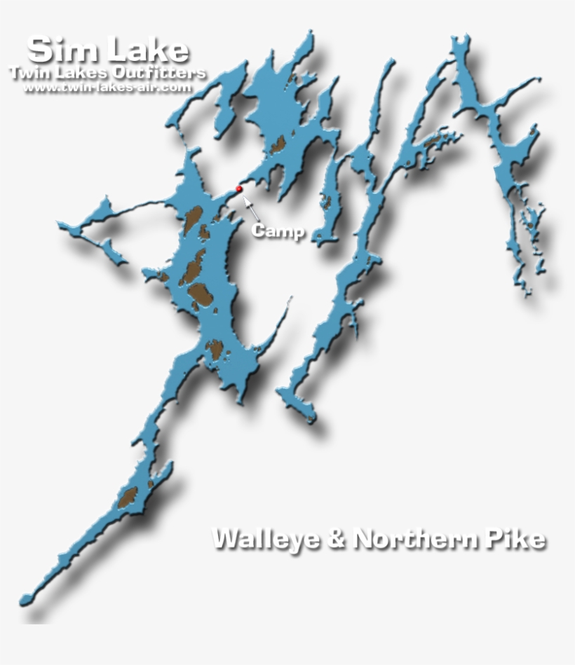 Walleyes Are The Primary Sportfish At Sim Lake, And - Northern Pike, transparent png #5691936
