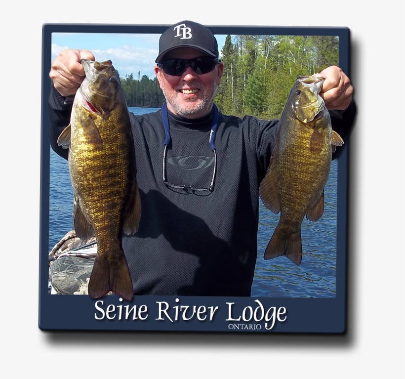 Nestled In The Heart Of Sunset Country In Northwestern - Smallmouth Bass, transparent png #5692048