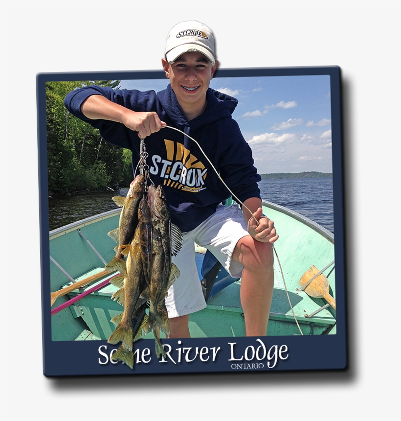 Walleye, Smallmouth Bass, Pike & Lake Trout Fishing - Pull Fish Out Of Water, transparent png #5692509