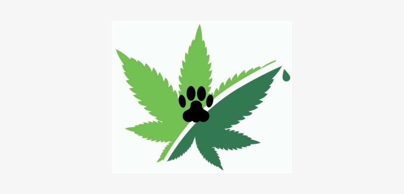 Hemp Leaf Design With Paw Print - Design, transparent png #5694832