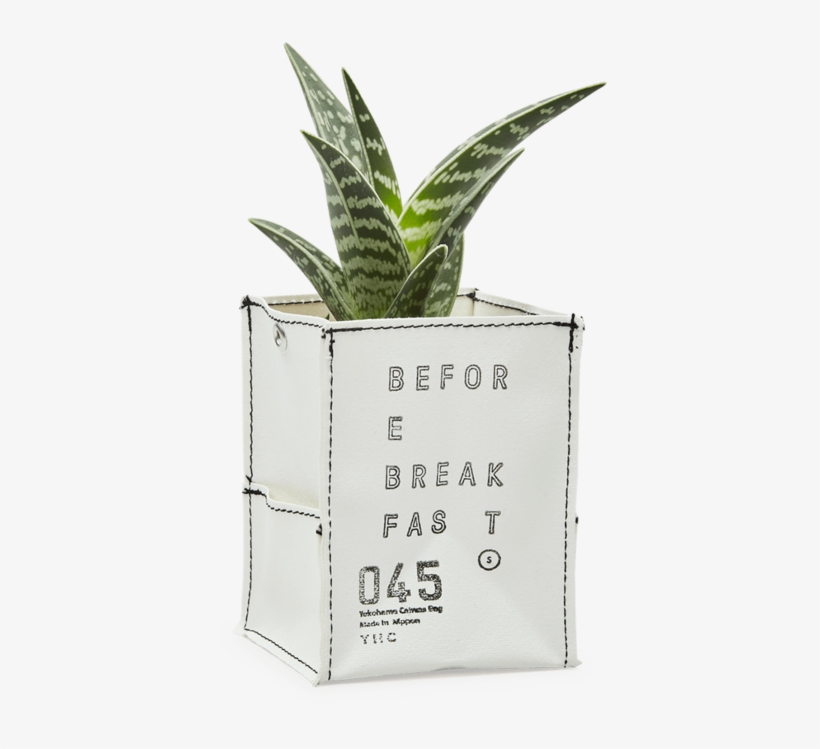Tumblr Pineapple Png, transparent png #5695240