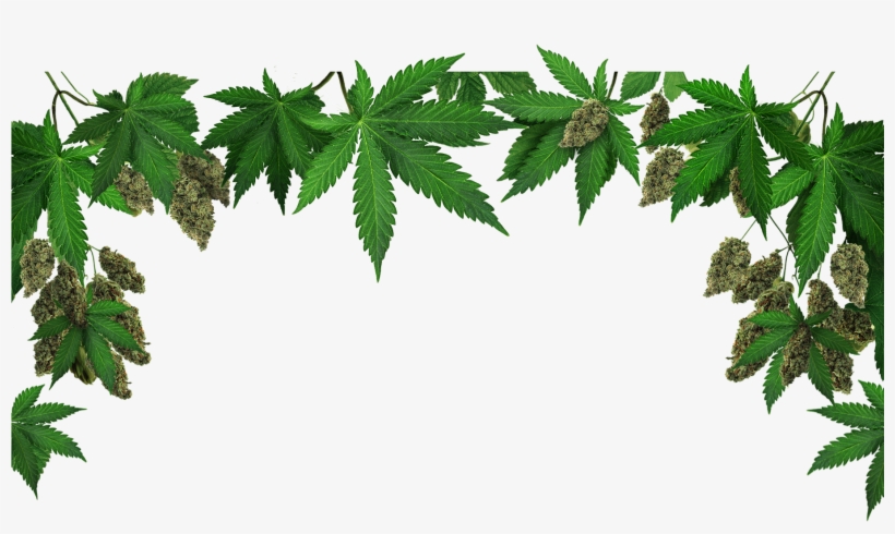 Home Admin 2018 07 29t23 - Marijuana: The Gateway To Abundance [book], transparent png #5696762