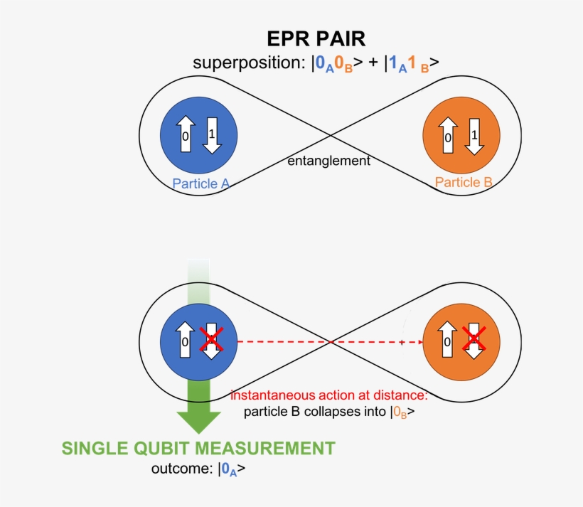 Pair Instantaneously Changes The Status Of The Second - Diagram, transparent png #5698016