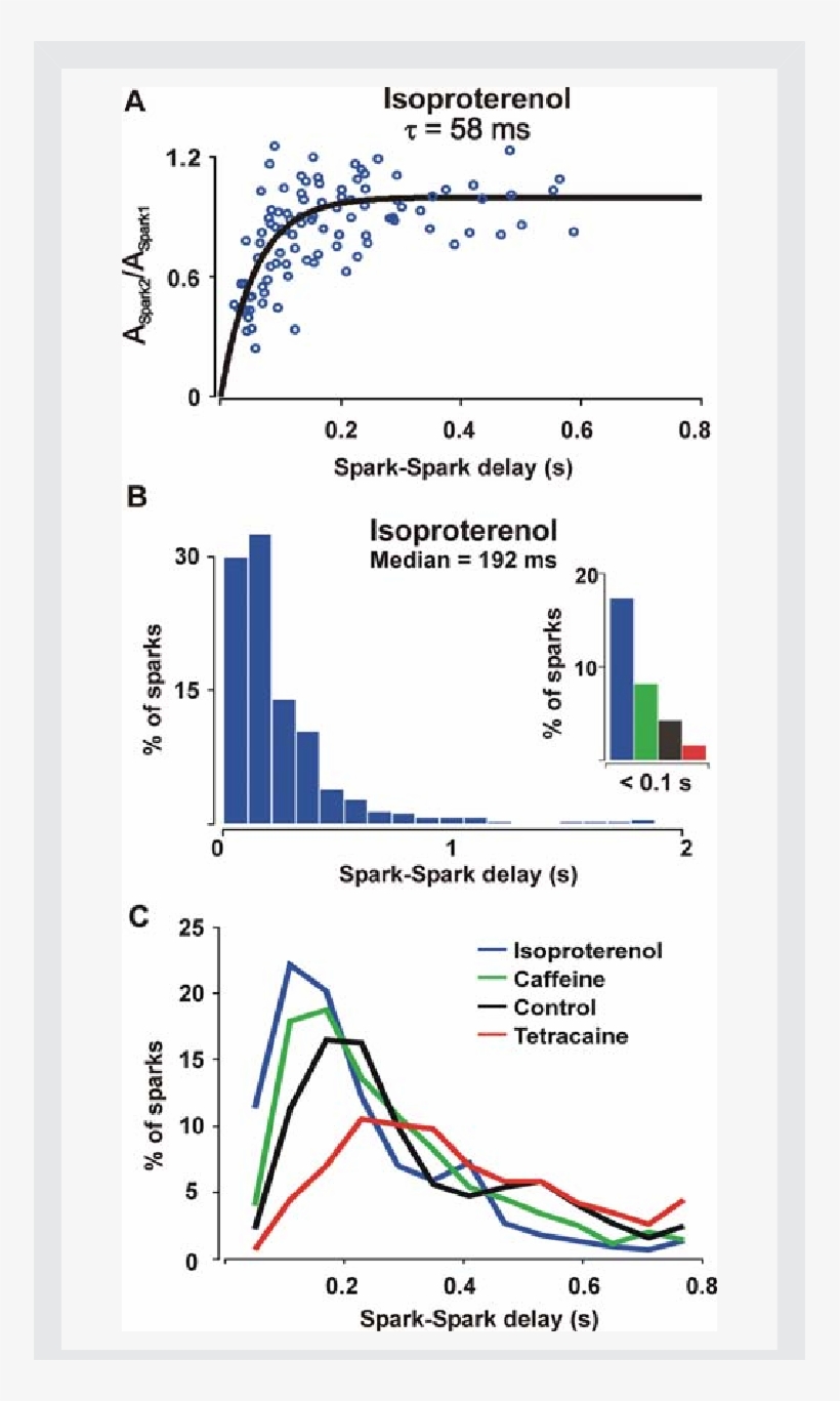 Ca 2 Spark Restitution After B-adrenergic Stimulation - Diagram, transparent png #5698017