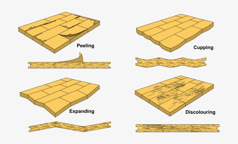 With Safro Flooring From Pvc Ceilings Sa® You Never - Wood Flooring, transparent png #5698438