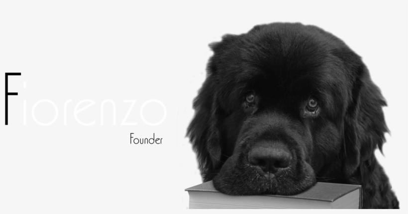 Giant Dog Breed, transparent png #5699565