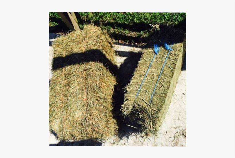 Bale Of Hay Png - Hay, transparent png #570076
