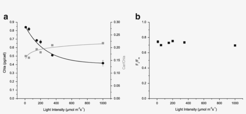 Effects Of Different Light Intensities On Photosynthetic - Absorption Of Eriochrome Black T, transparent png #570119
