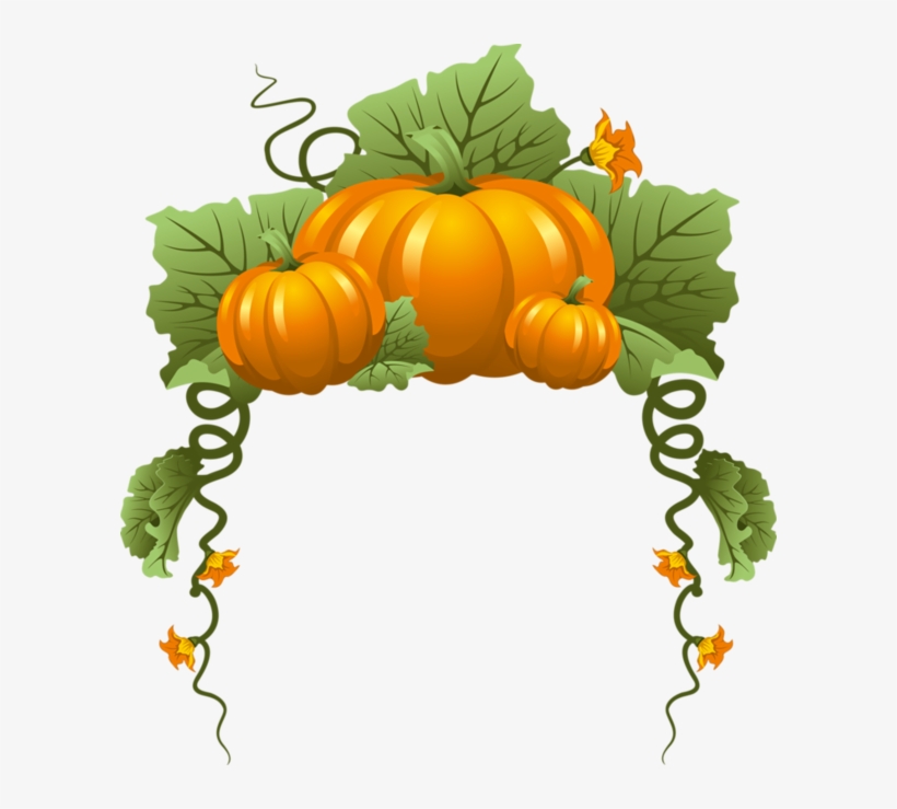 29 - Pumpkin Frame Clipart, transparent png #570327