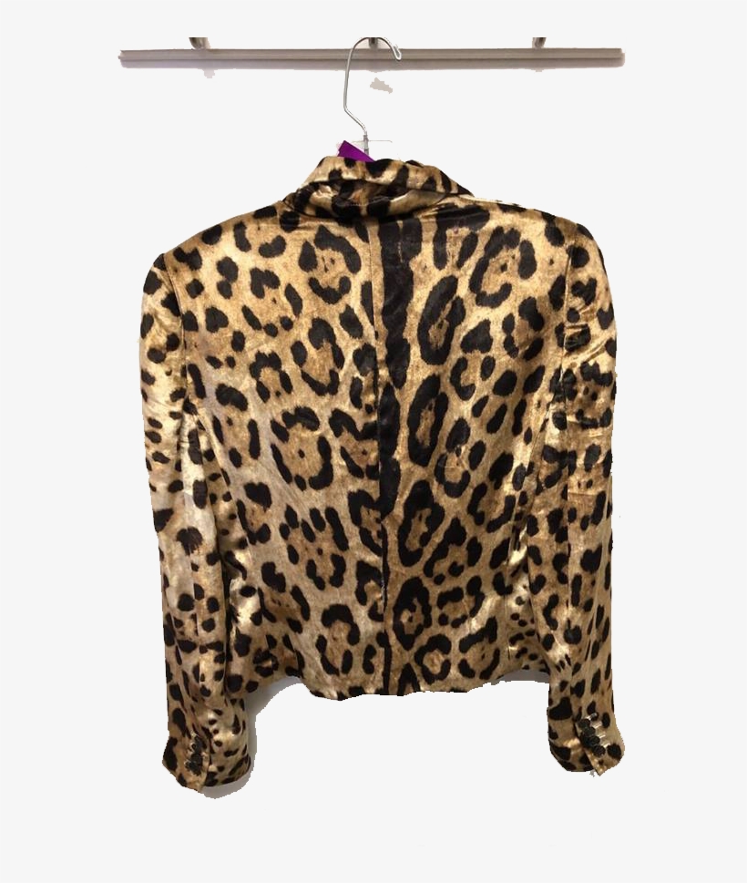 Jacket2 - Dolce & Gabbana - Leopard Print Suitcase - Women, transparent png #570348