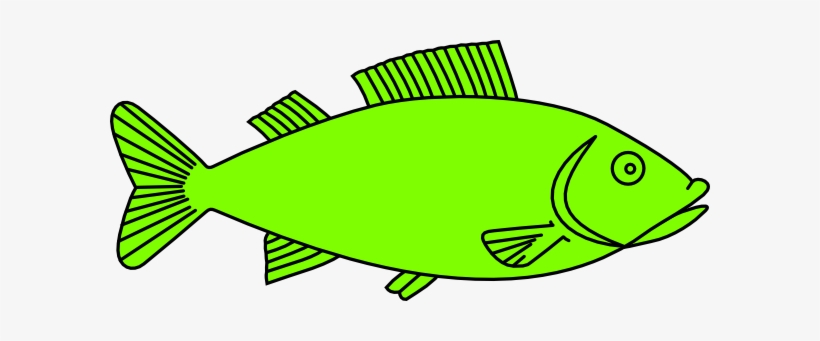 Fried Fish Clipart - Fish Outline, transparent png #570996