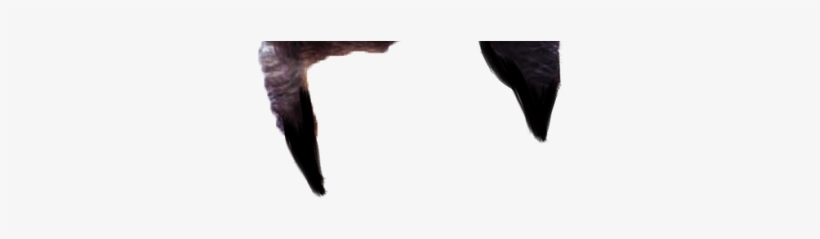 Image Result For Hairstyle Png For Picsart Art Pinterest - Northern Gannet, transparent png #571261