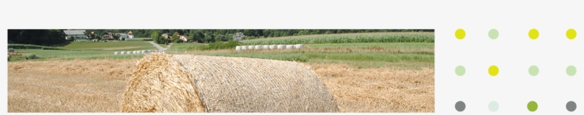 Yield Per Hectare, Thus Reducing The Requirement For - Field, transparent png #571308