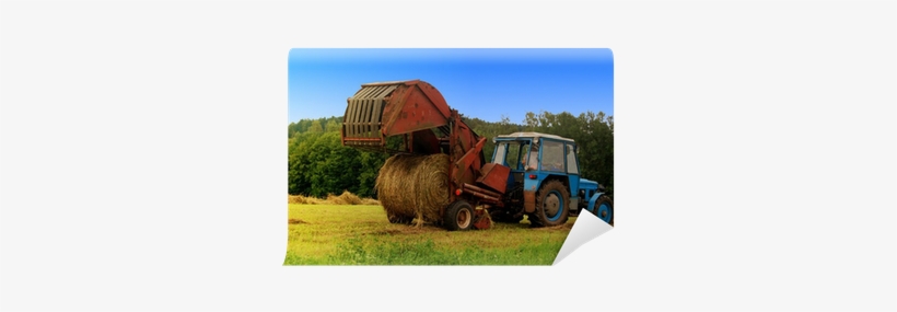 Hay, transparent png #571356