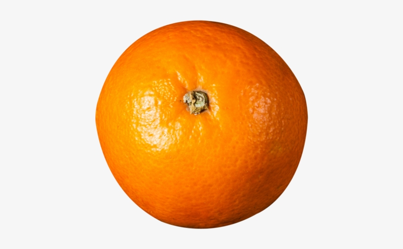 Download Orange Top View Png Image - Orange Top Png, transparent png #571579