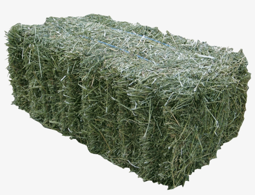 Bales Of Hay From A Farm Or Feed Store Are Incredibly - Prime Lucerne Hay, transparent png #571725