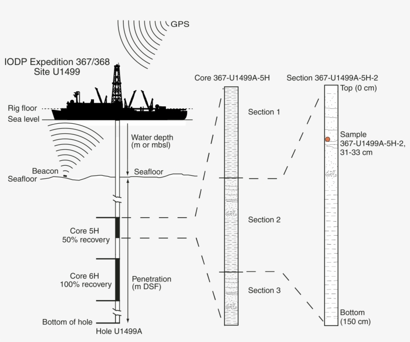 Weighted - Diagram, transparent png #572206