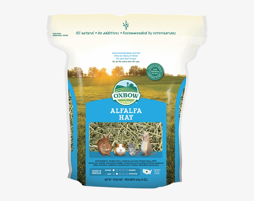 Sweet, Soft Oxbow Alfalfa Hay Is A Legume Hay That - Oxbow Alfalfa Hay, transparent png #572497