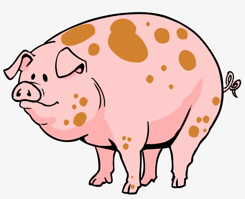 Pig Cartoon - Cartoon Of A Pig, transparent png #572902