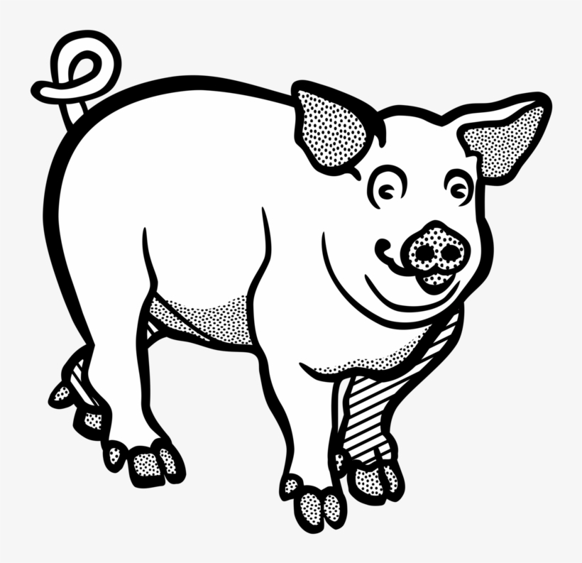 Wild Boar Line Art Drawing Black And White Free Commercial - Line Art Of Pig, transparent png #572952