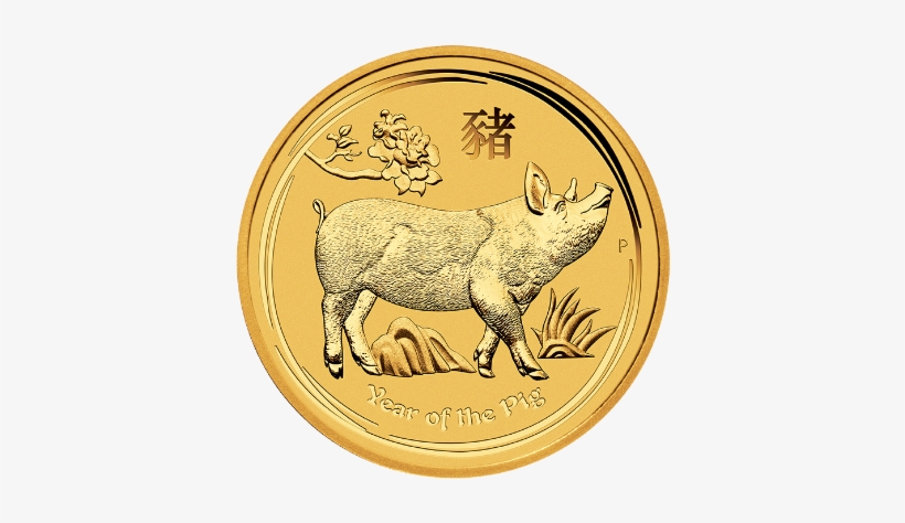 Gold Coin "year Of The Pig\ - Perth Mint 2019 Lunar Pig, transparent png #573211