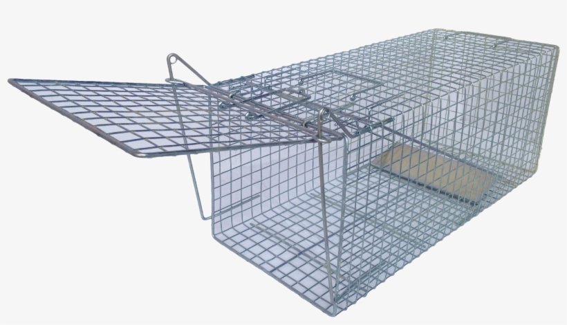Possum Trap, transparent png #573652