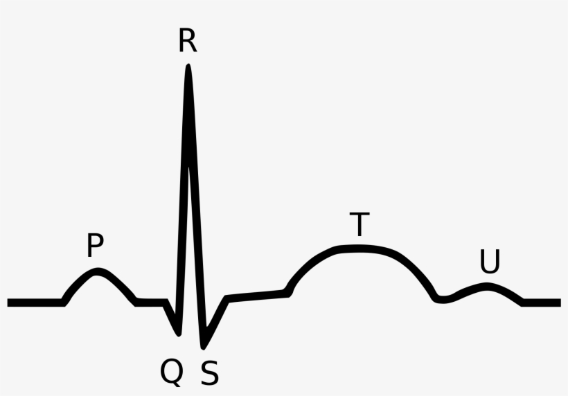 Px Qrs Fasterskier Image Free Stock - Qrs Complex, transparent png #573754