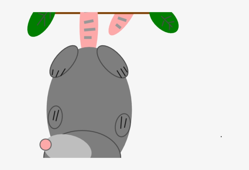 Possum Clipart Vector - Phalangeriformes, transparent png #574016
