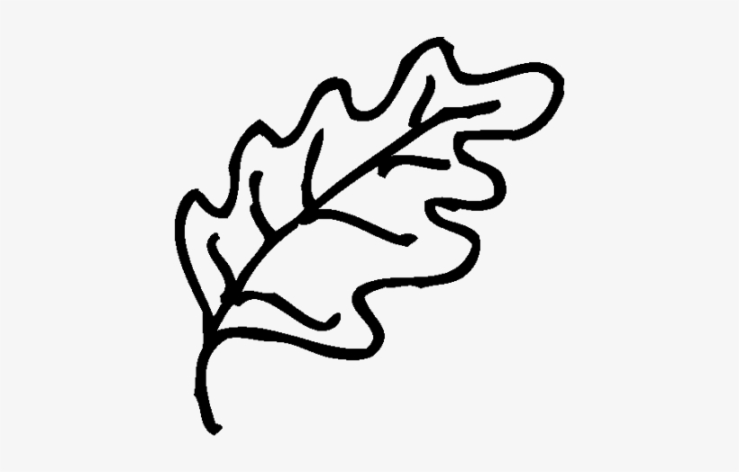 Displaying Leaf-black - Line Art, transparent png #574524