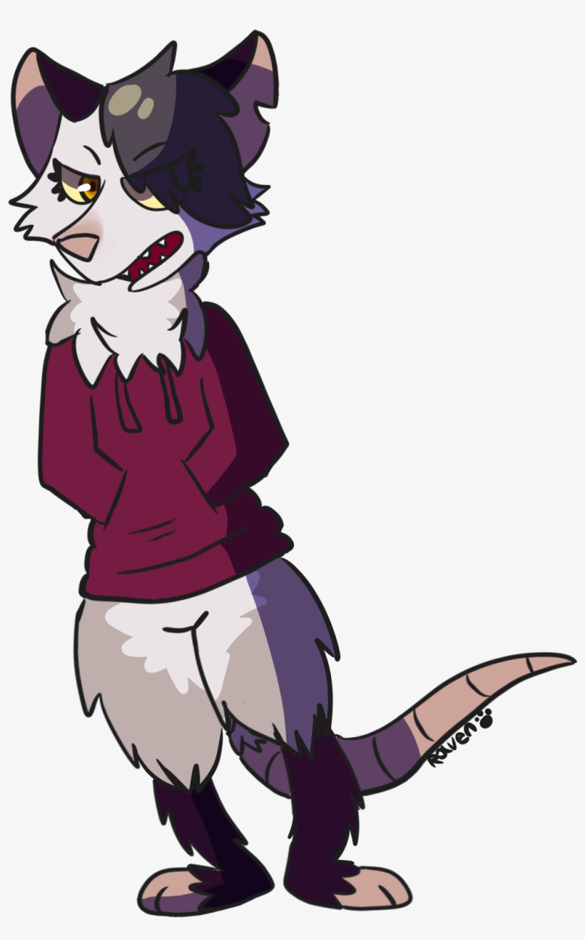 A Possum - Cartoon, transparent png #574558