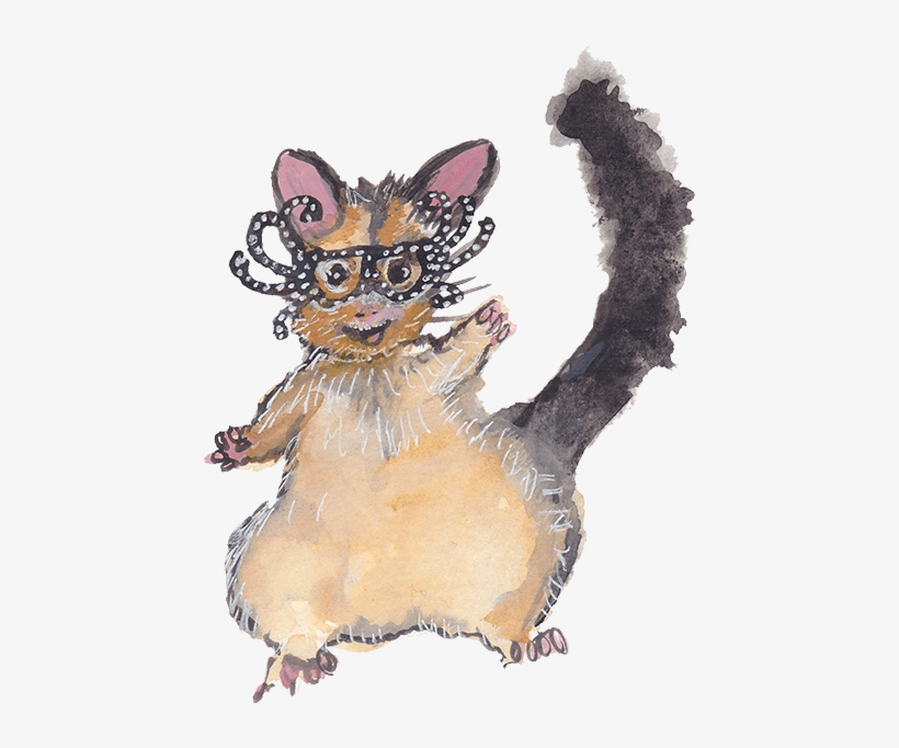 Possum Wearing Dame Edna Glasses - Kitten, transparent png #574630